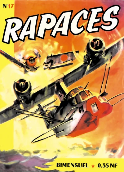 Cover of Issue #17