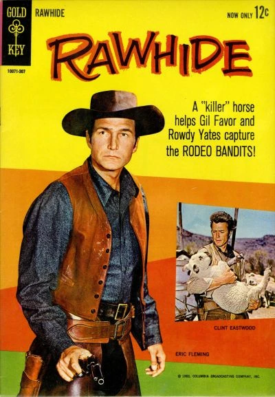 Cover of 10071-307