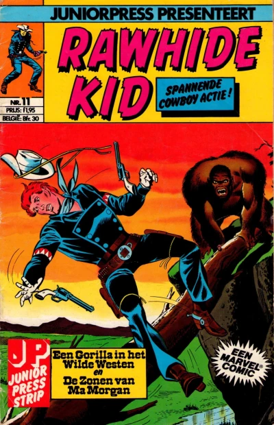 Cover of Issue #11