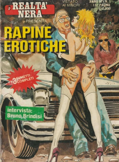 Cover of Rapine erotiche