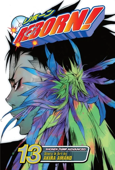 Cover of The Mist Guardian