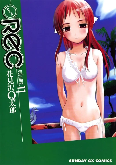 Cover of Volume 11