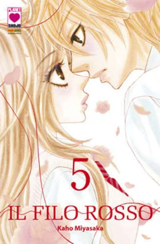 Cover of Il filo rosso 5