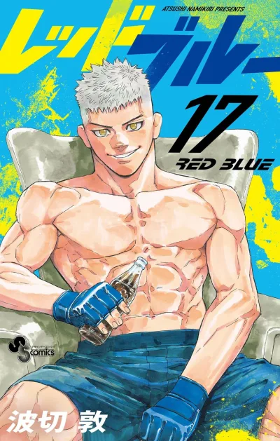 Cover of Volume 17