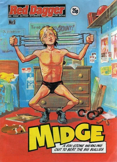 Cover of Midge