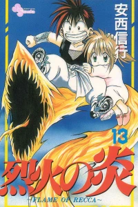 Vol. 13