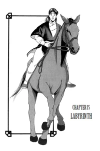Chapter 15 - Labyrinth
