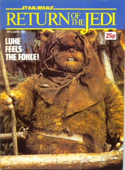 Cover of ROTJ 13