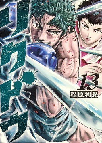 Cover of Vol. 13