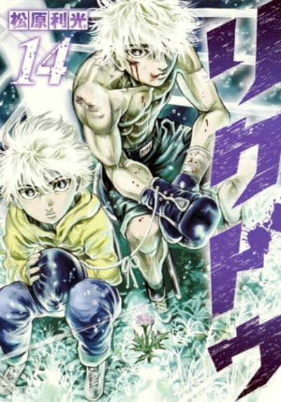 Cover of Vol. 14