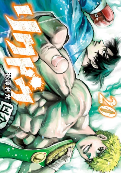 Cover of Vol. 20