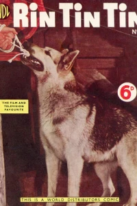 Issue #6