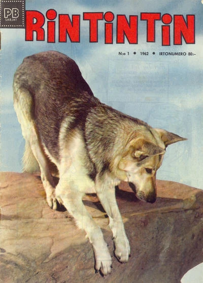 Cover of Issue #196201