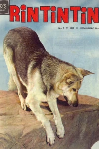 Issue #196201