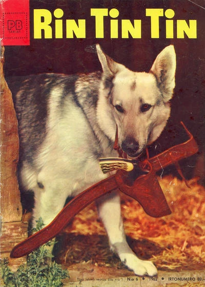 Cover of Issue #196206