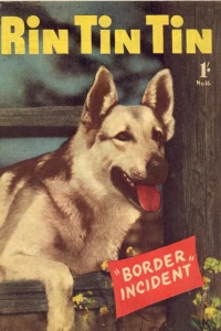 Border Incident