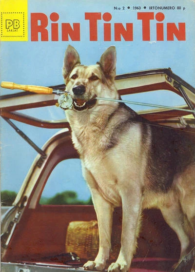 Cover of Issue #196302