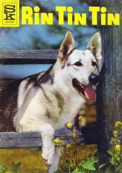 Cover of Issue #196303
