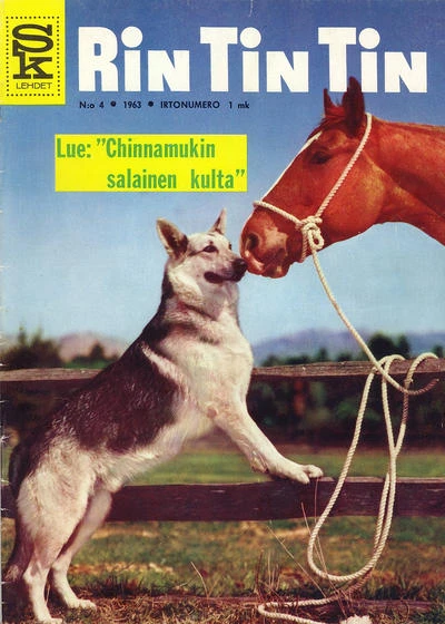 Cover of Issue #196304