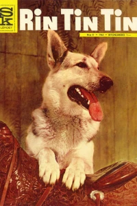 Issue #196305