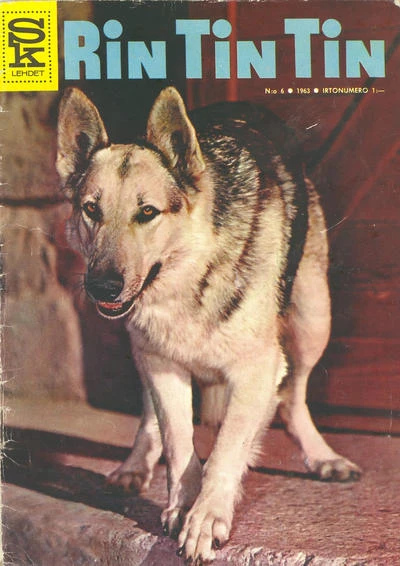 Cover of Issue #196306