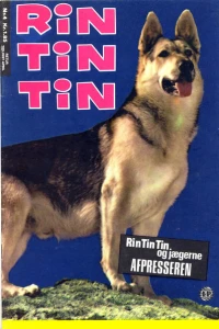Issue #4