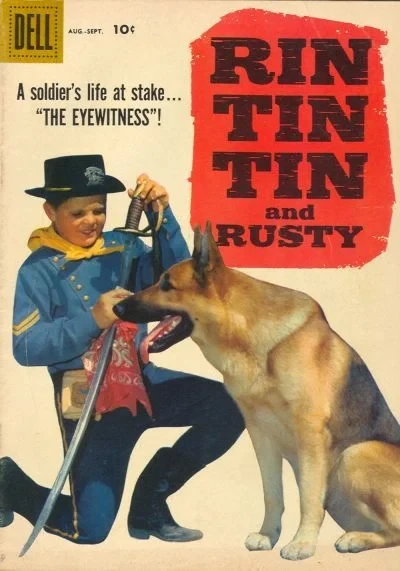 Cover of The Eyewitness