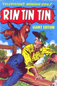 Issue #2