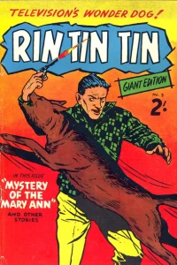 Mystery of the Mary Ann