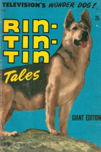 Issue #37-07
