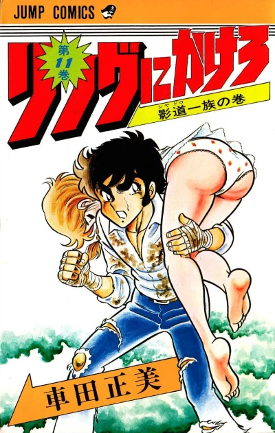 Cover of Volume #11
