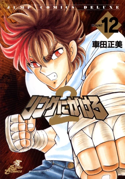 Cover of Vol. 12