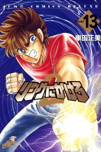 Vol. 13