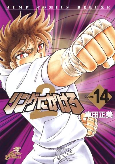 Cover of Vol. 14
