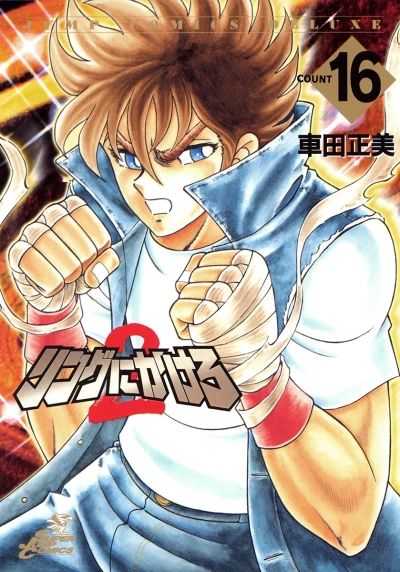 Cover of Vol. 16