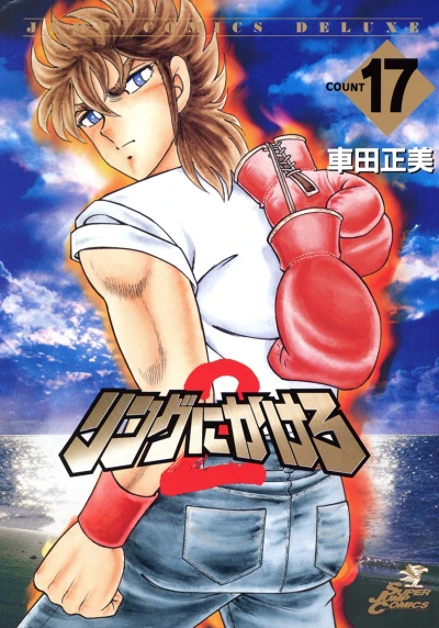 Cover of Vol. 17