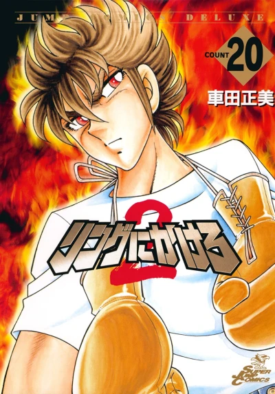 Cover of Vol. 20