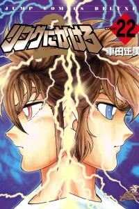 Vol. 22