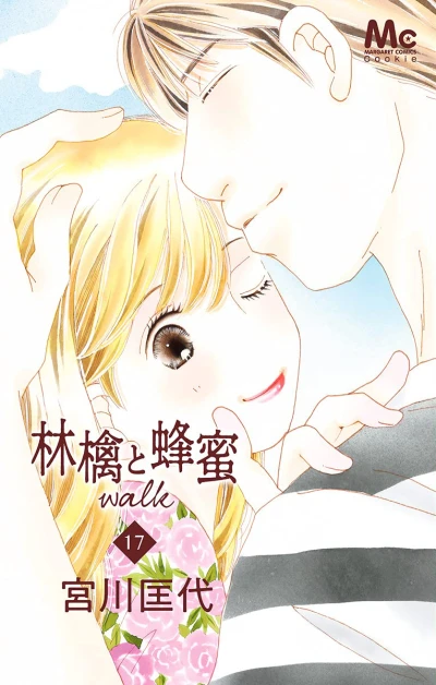 Cover of Vol. 17