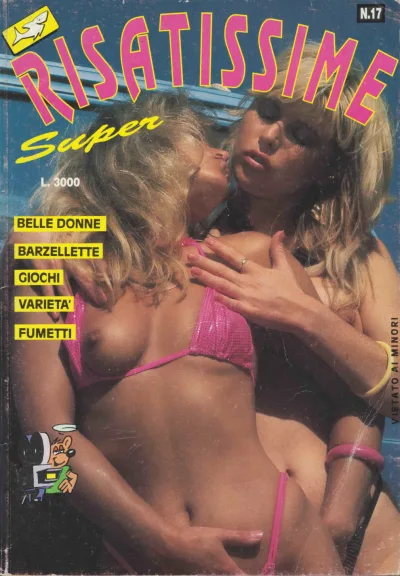 Cover of Issue #17