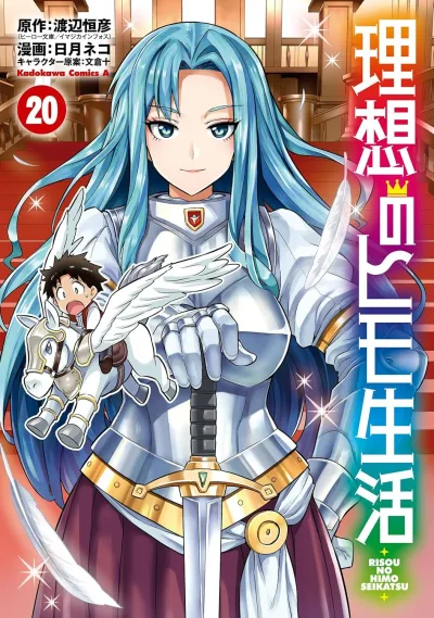 Cover of Volume 20