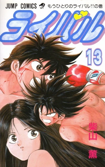 Cover of Vol. 13