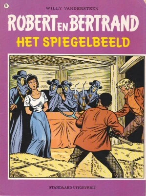 Cover of Het spiegelbeeld