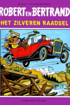 Het zilveren raadsel