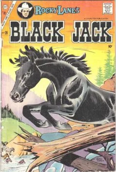 Cover of Issue #20