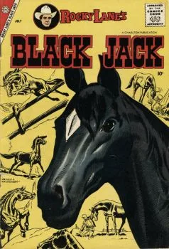 Cover of Issue #23