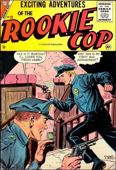 Cover of Issue #29