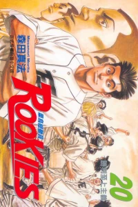 Vol. 20