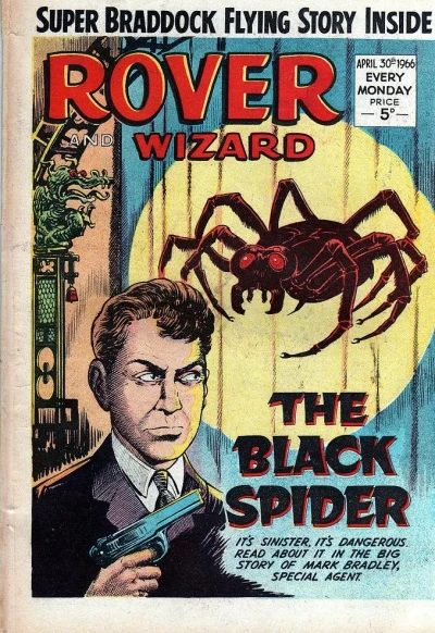 Cover of The Black Spider