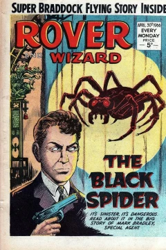 The Black Spider